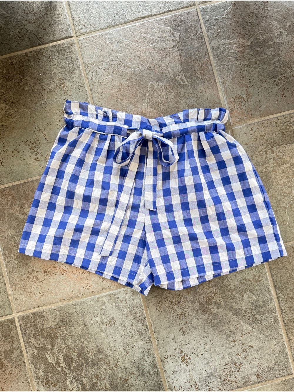 Joie Blue and White Gingham Paperbag Waist Shorts